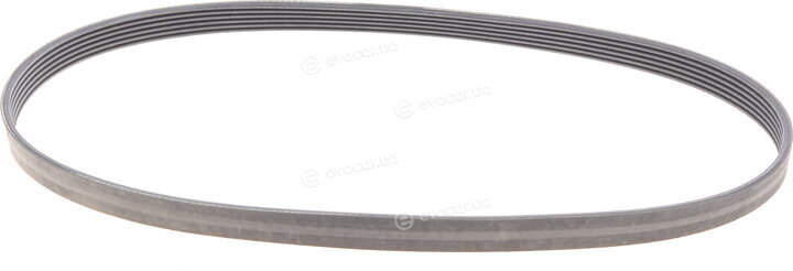 Continental 6PK989 ELAST