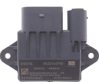 Beru GSE116