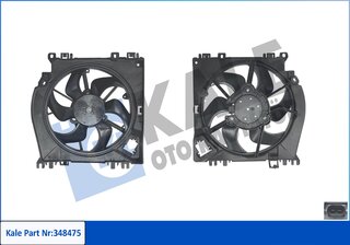 Kale 387240