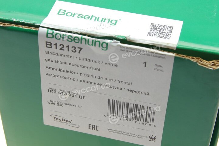 Borsehung B12137