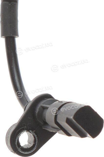 AIC 51975