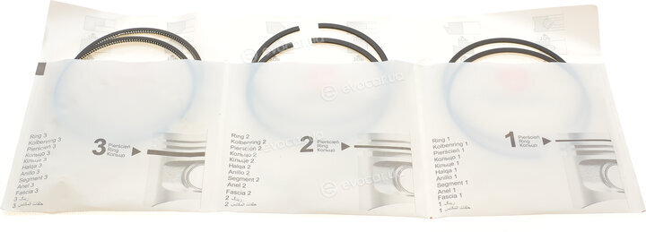 AMP PR-REN-44-3841-025-SET