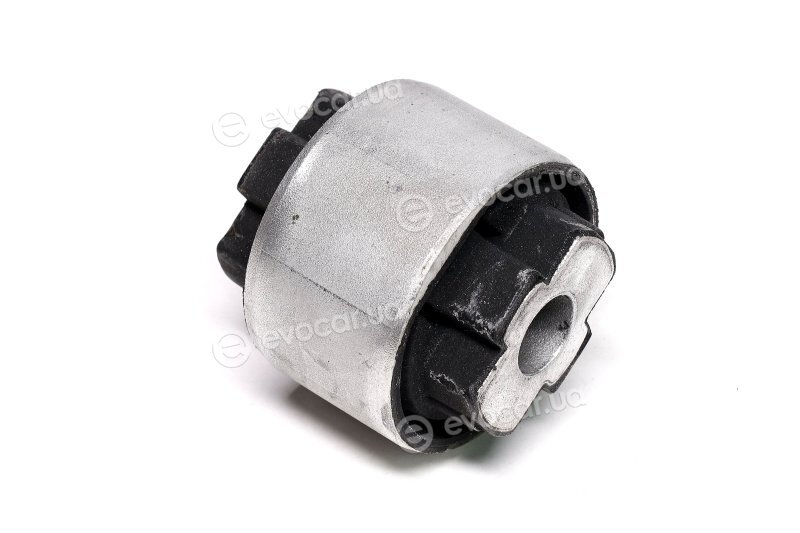 Sasic 2250005