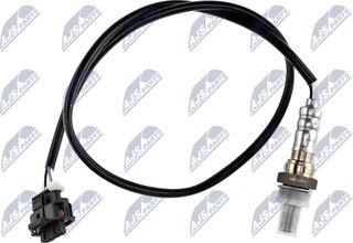 NTY ESL-PL-005