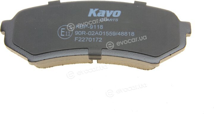 Kavo KBP-9118