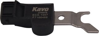 Kavo ECA-1007