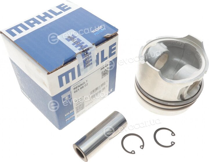 Mahle 021 66 02