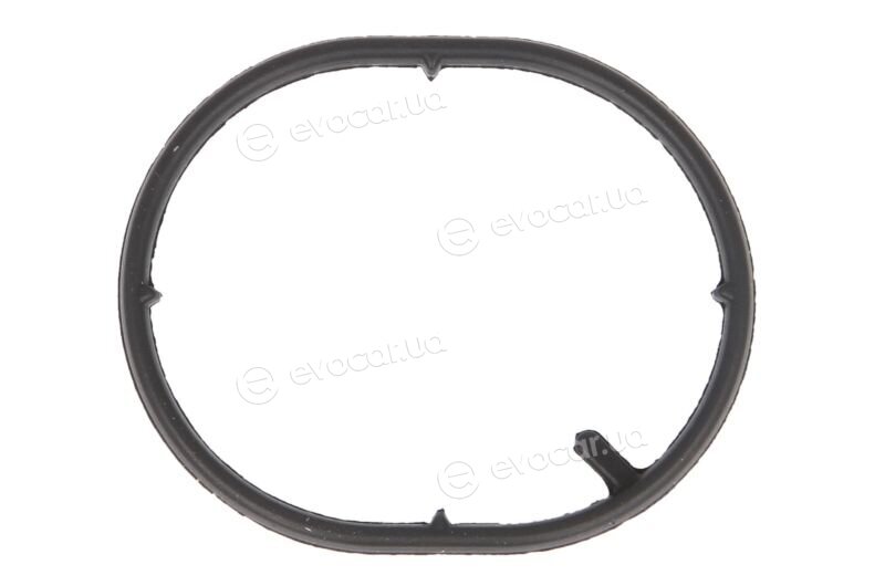 Elring 249.070
