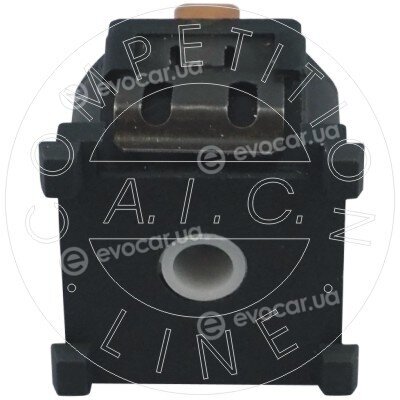 AIC 57303