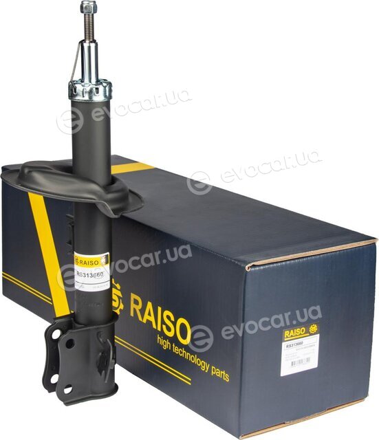 Raiso RS313660