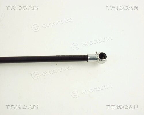 Triscan 8710 29262