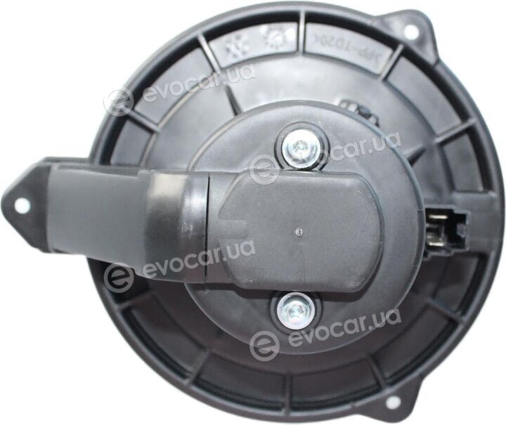 Walker / Fonos WBL01181