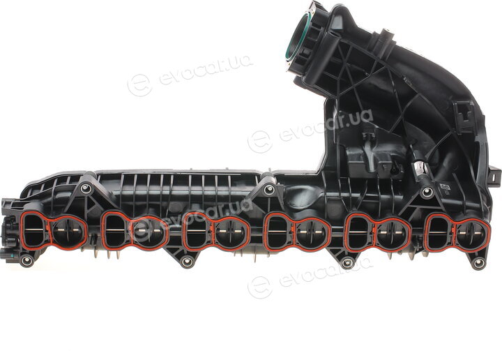 Solgy 114034