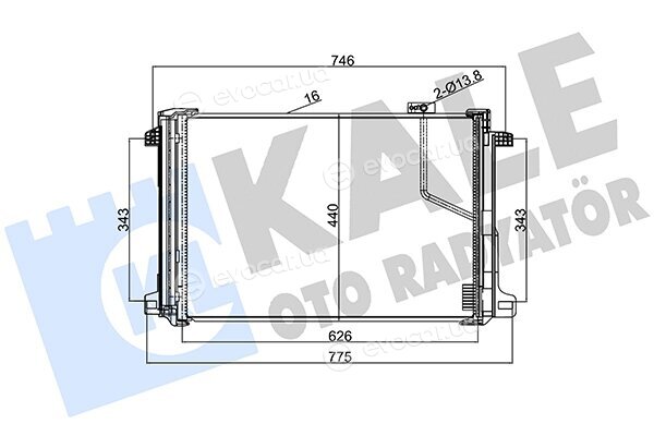 Kale 343030