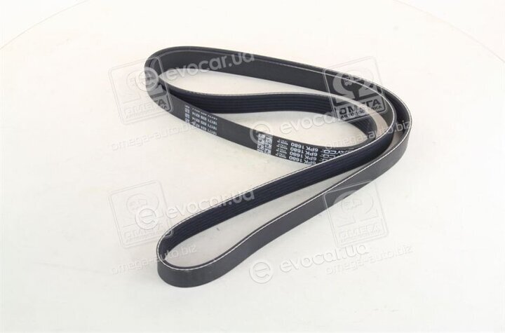 Dayco 6PK1680