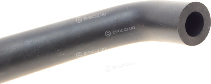 Rotweiss RWS2569
