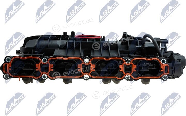 NTY BKS-VW-021
