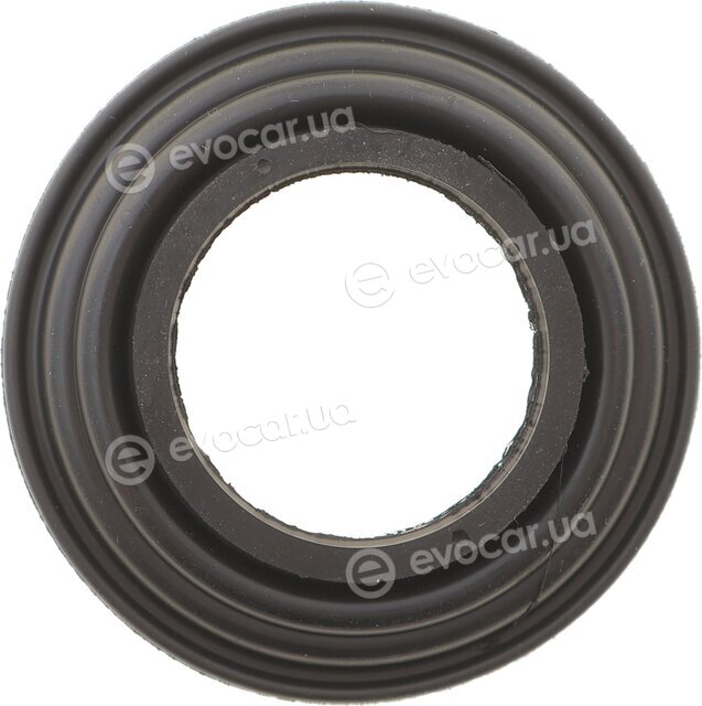 Belgum BG0180