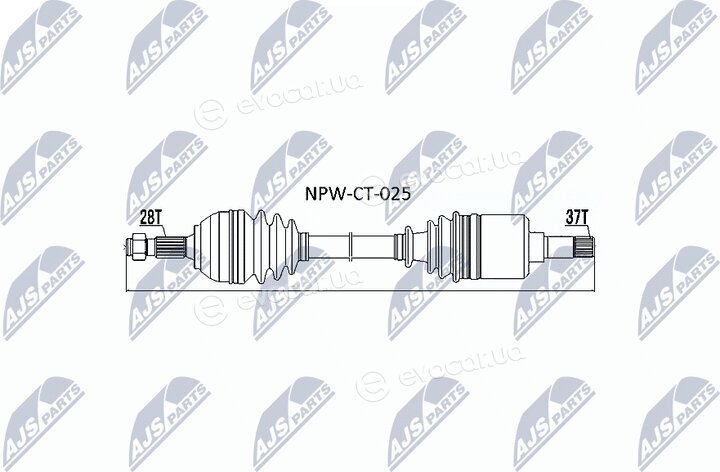 NTY NPW-CT-025