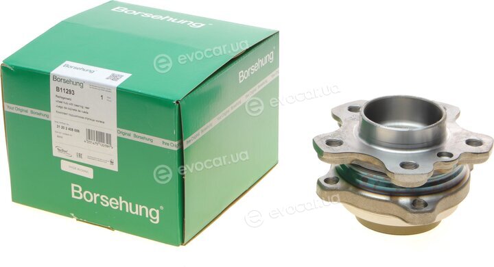 Borsehung B11293