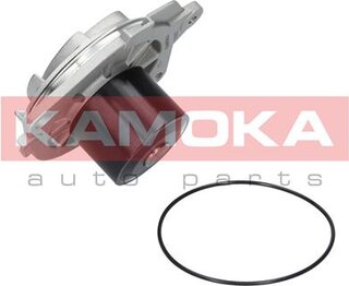 Kamoka T0002