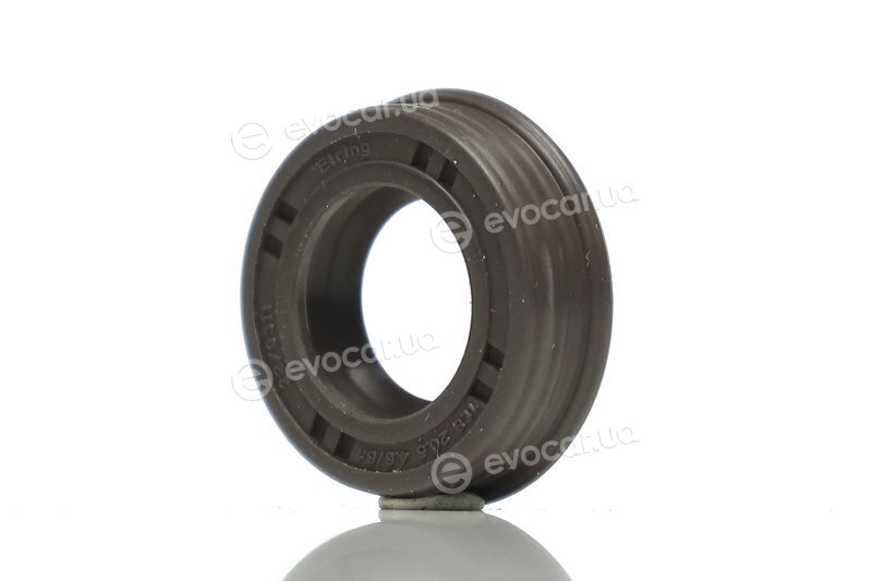 Elring 250.890