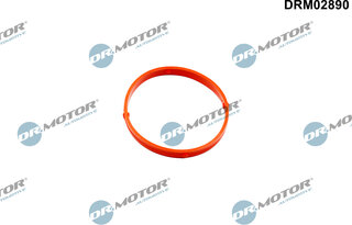 Dr. Motor DRM02890