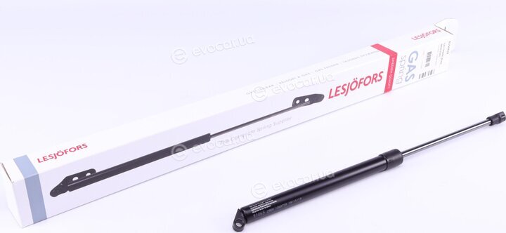 Lesjofors 8156818