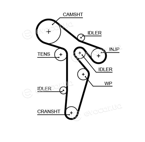 Gates K025649XS