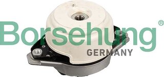 Borsehung B12656