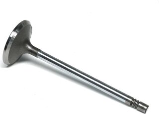 Gunes 4519