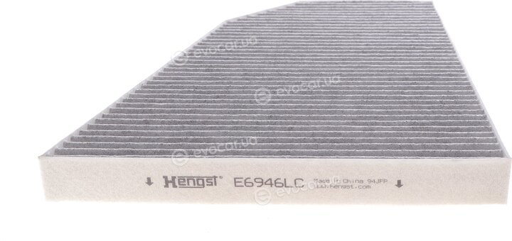 Hengst E6946LC