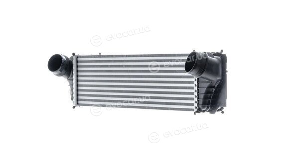 Mahle CI 183 000P
