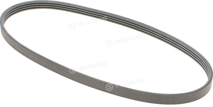 Continental 4PK775