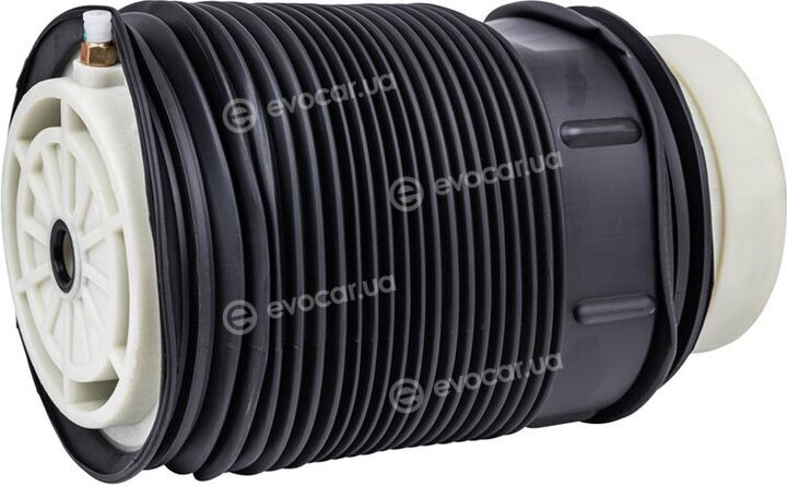 Starline TL V00016