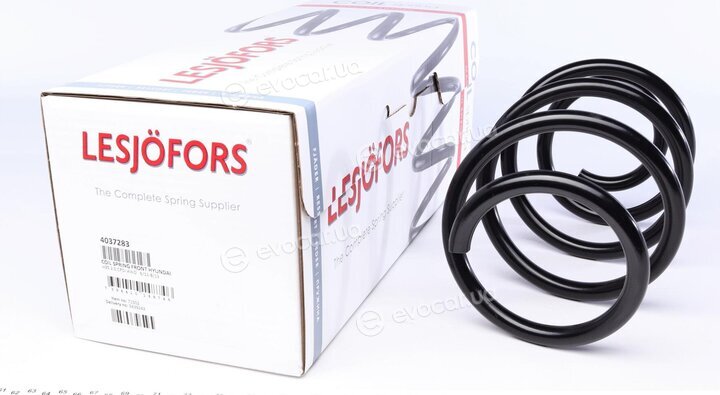 Lesjofors 4037283