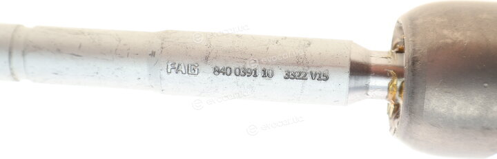 FAG 840 0391 10