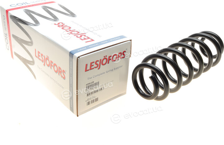 Lesjofors 4295109