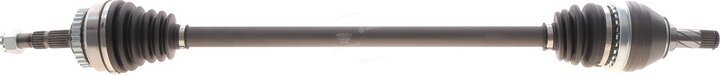 Magneti Marelli 302004190082