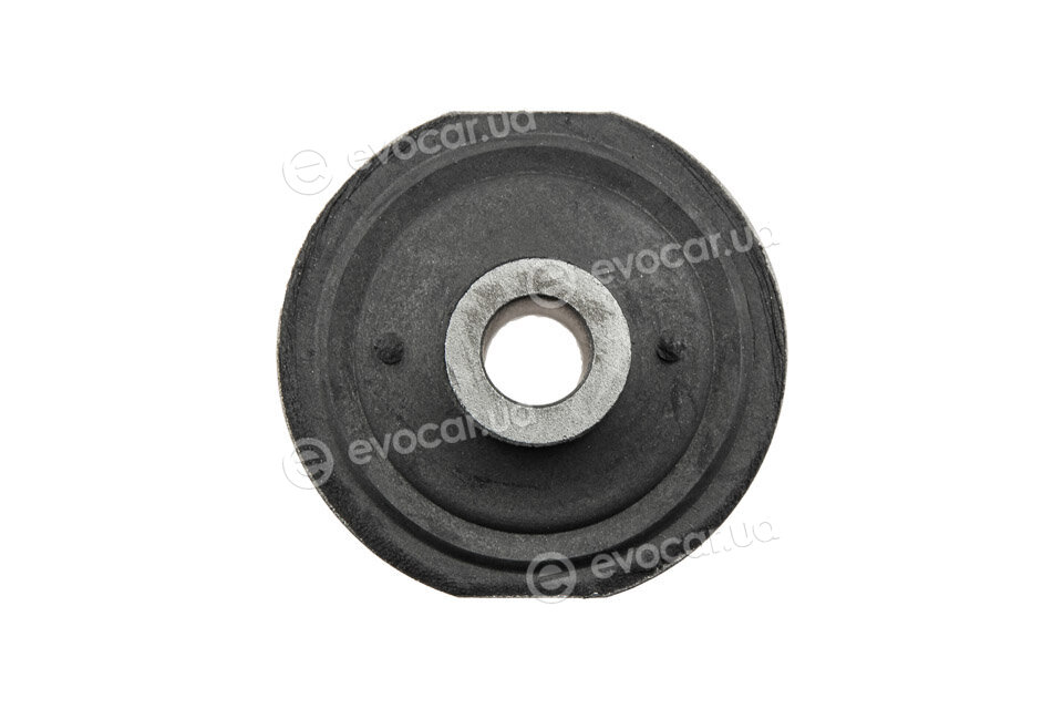 NTY ZTP-CH-002B