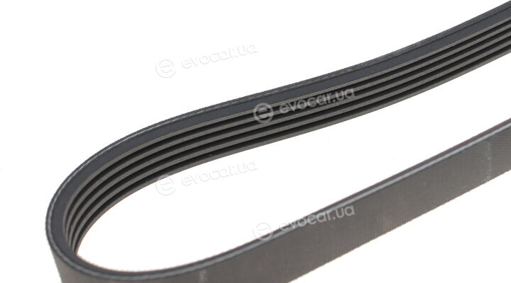Hutchinson 2060 K 5