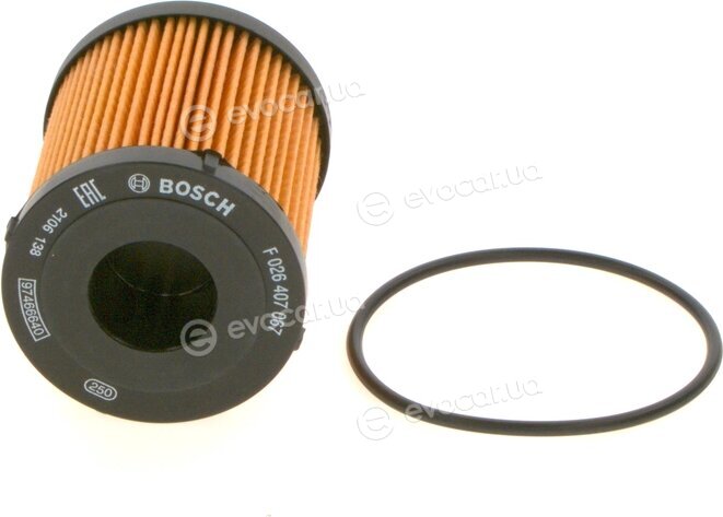 Bosch F 026 407 067