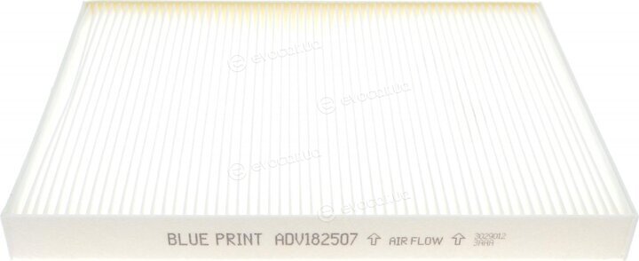 Blue Print ADV182507