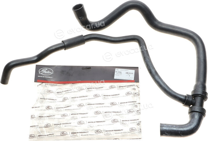 Gates 05-3946