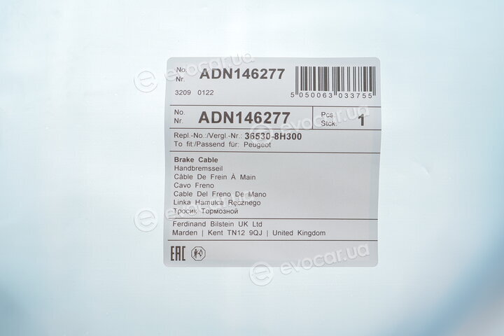 Blue Print ADN146277