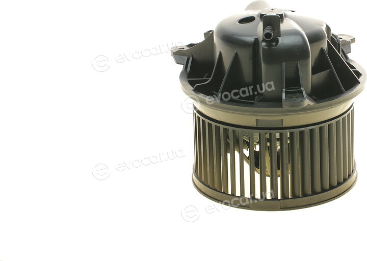 AIC 56117