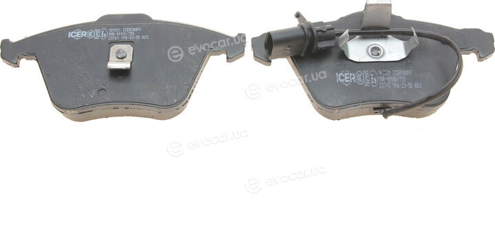 Icer 181531