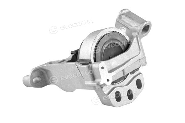 Tedgum TED54109