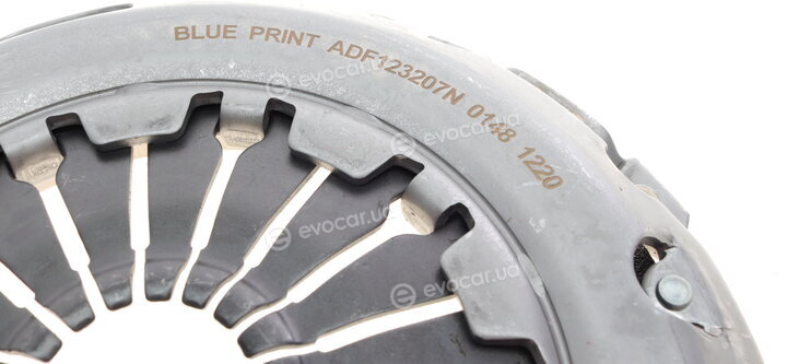 Blue Print ADF123095