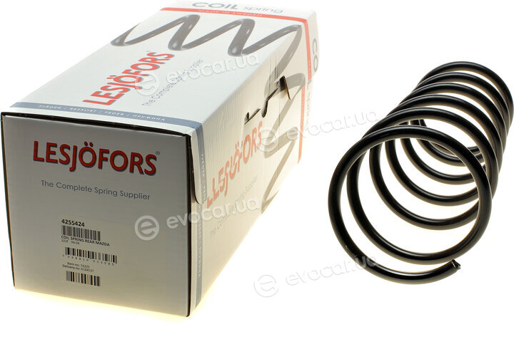 Lesjofors 4255424